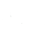 lotus-point-100
